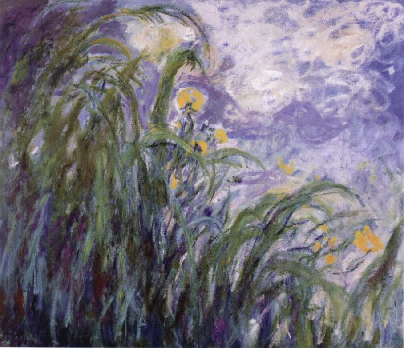 Claude Monet Yellow Irises oil painting picture